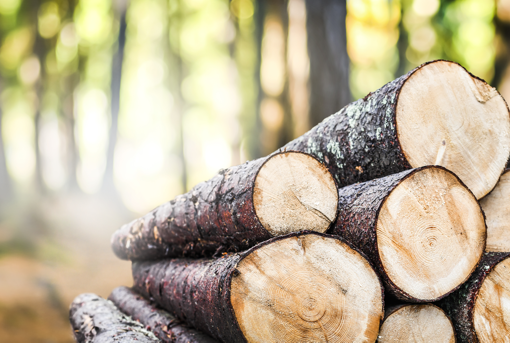 holz fur holzfenster