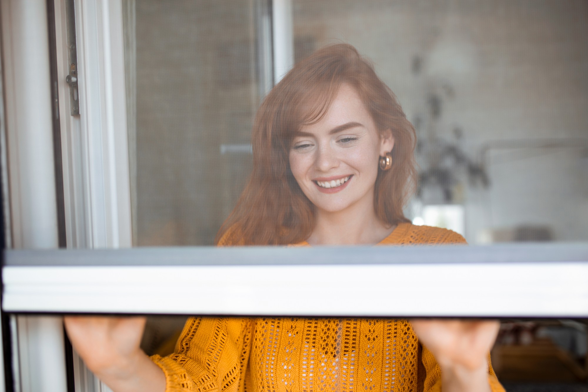 Fenster mit Insektenschutzgitter